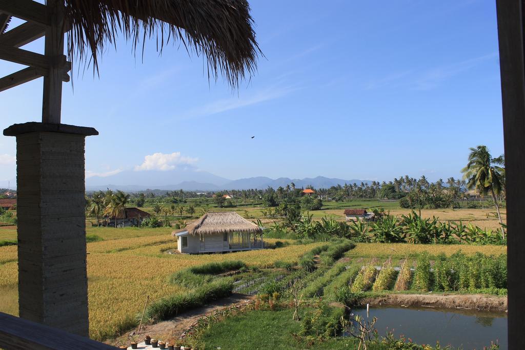 Barn N Bunk Hotel Payangan Buitenkant foto