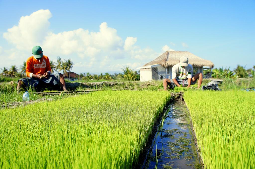 Barn N Bunk Hotel Payangan Buitenkant foto