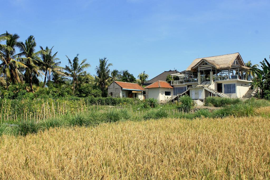 Barn N Bunk Hotel Payangan Buitenkant foto