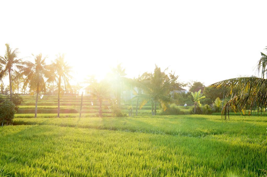 Barn N Bunk Hotel Payangan Buitenkant foto