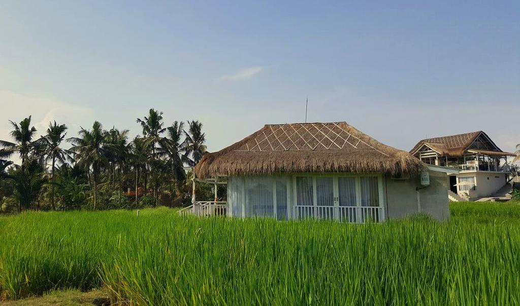 Barn N Bunk Hotel Payangan Buitenkant foto